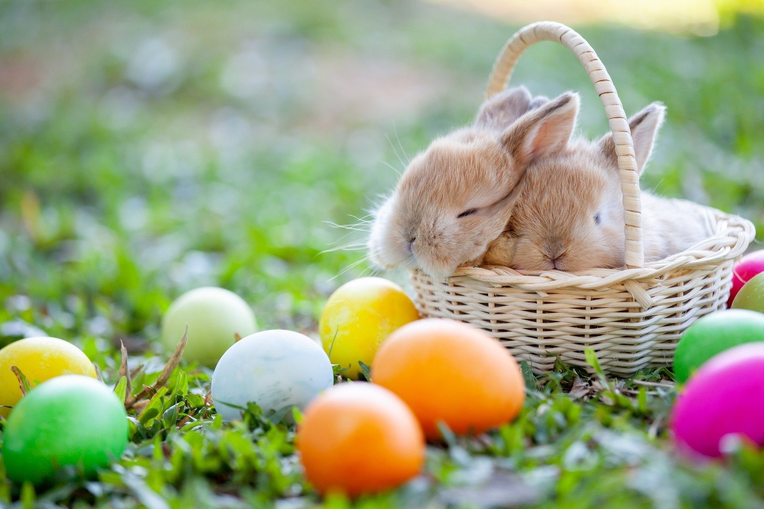 Happy Easter | Caremark