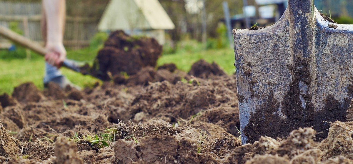A Guide to Our Potting Composts & Soil Improvers