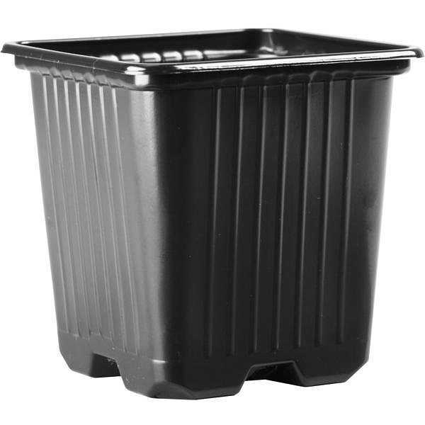 8cm Square Black Lightweight Plant Pots x 10